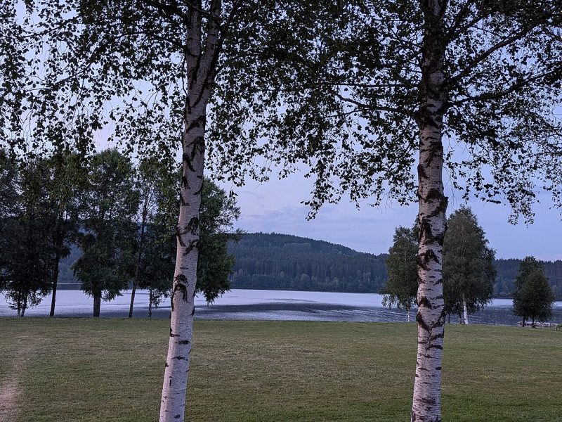 Přední Výtoň: Hafen und ruhiger Uferspaziergang am Lipno-See