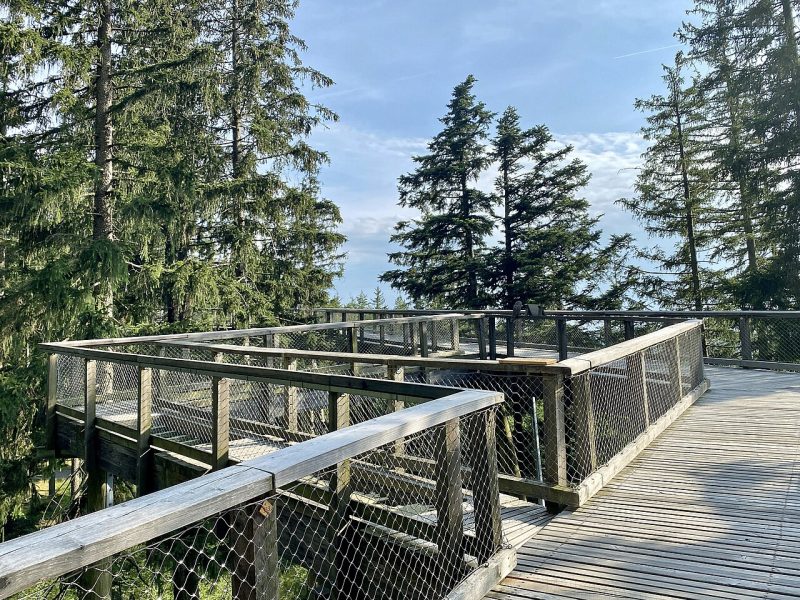 Baumwipfelpfad Lipno: Über den Wäldern mit Blick auf den See