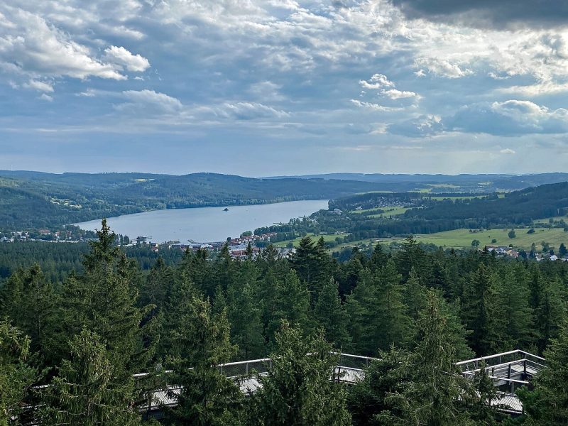 Kramolín-Rundwanderung: Waldwege und Lipno-Panorama