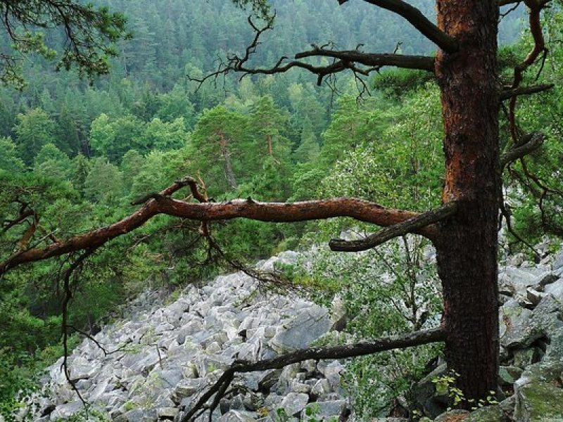 Čertova stěna–Luč: Rundwanderung durch das wilde Granitrevier