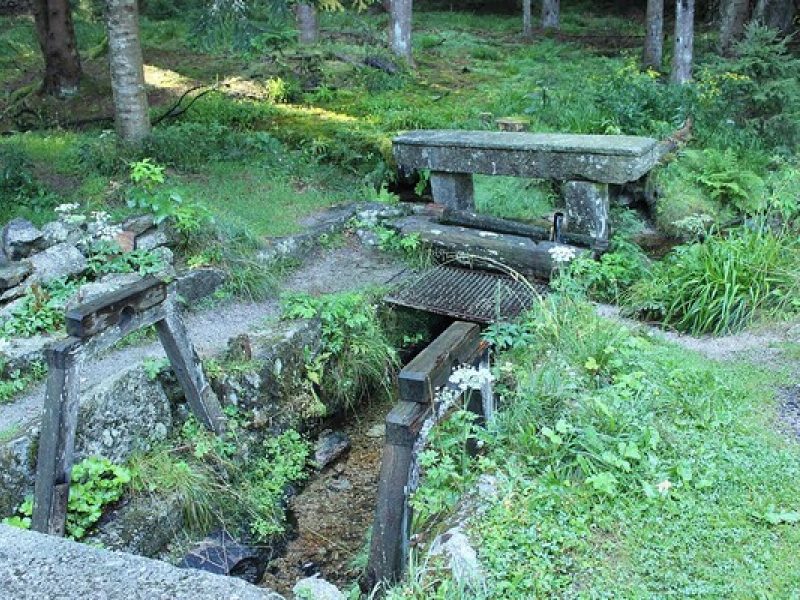 Schwarzenbergischer Schwemmkanal bei Jelení Vrchy: Waldweg am Wasser