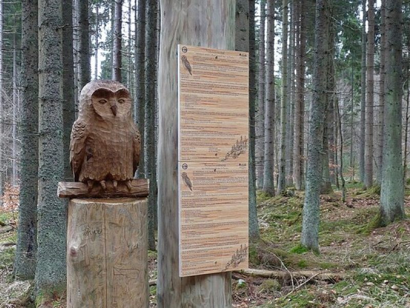Puštíkova stezka in Stožec: Spielerisch den Böhmerwald entdecken