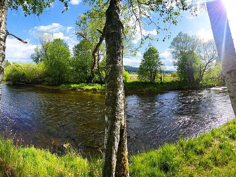 Vltavský luh: Auf Expedition durch die wilden Moldauauen