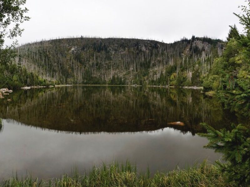 Plešné jezero: Zum wildesten Gletschersee des Böhmerwaldes