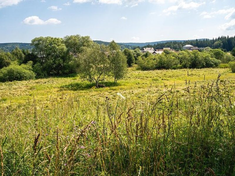 Borová Lada: Ruhiger Naturtag auf der Šumava-Hochebene