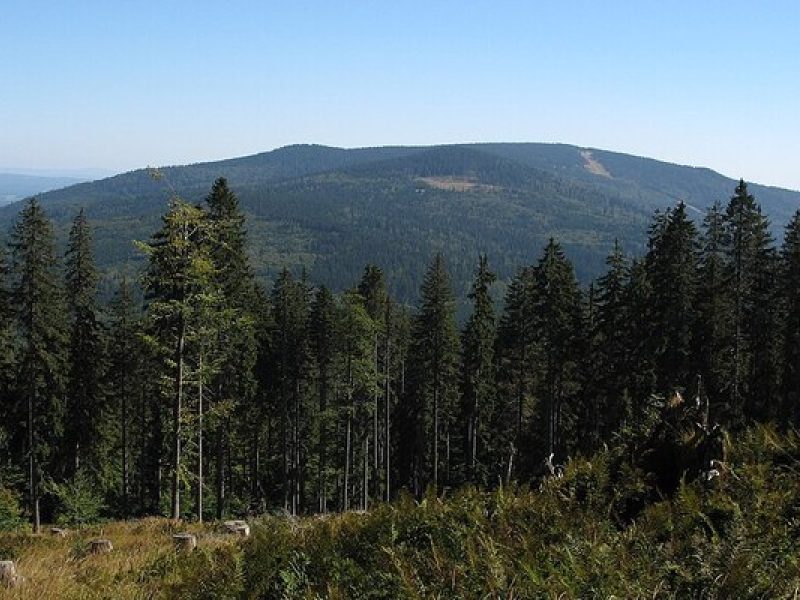 Hochficht im Sommer: Wandern zwischen Gipfeln und Granitfelsen