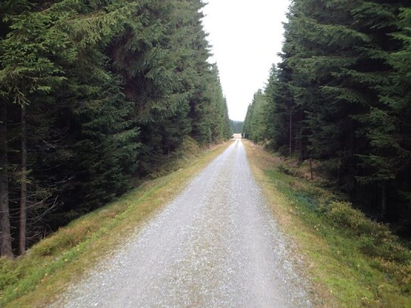 Adalbert-Stifter-Radweg: Familienradtour auf der alten Bahntrasse