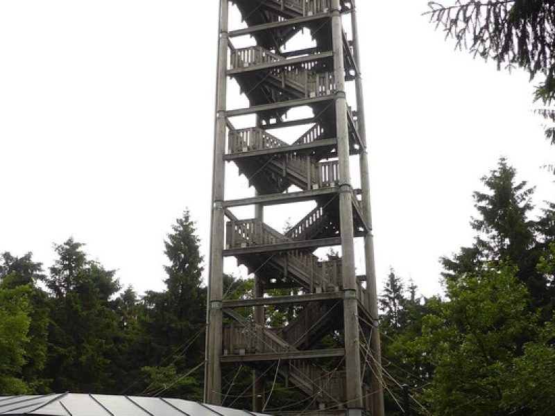 Haidel-Aussichtsturm: Waldwanderung mit Fernblick