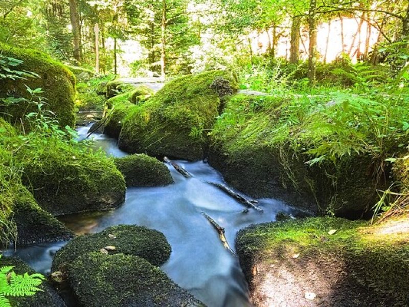 Saußbachklamm bei Waldkirchen: Wandern zwischen Wasser und Granit