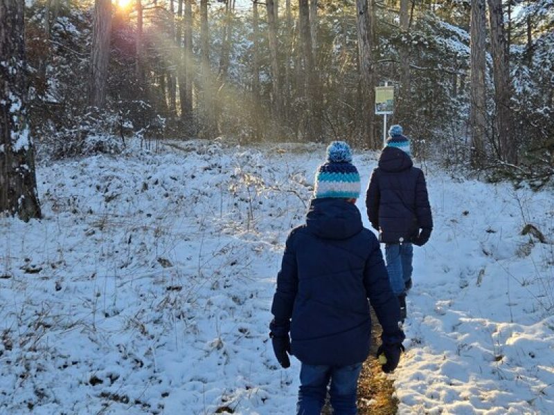 Schneeschuhwandern rund um Černá v Pošumaví