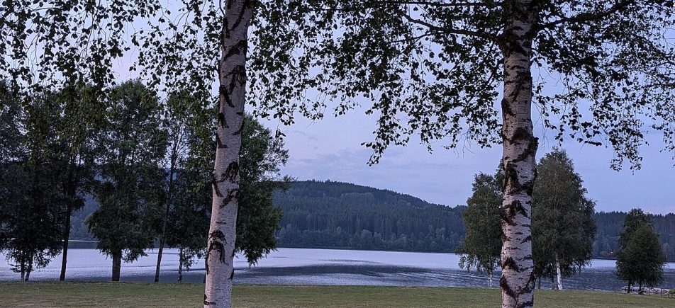 Přední Výtoň: Hafen und ruhiger Uferspaziergang am Lipno-See