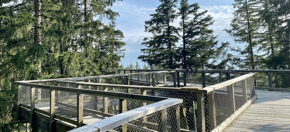 Baumwipfelpfad Lipno: Über den Wäldern mit Blick auf den See