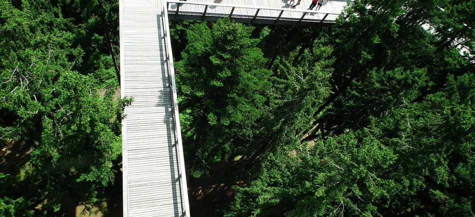 Königreich des Waldes Lipno: Der große Spielwald auf dem Kramolín