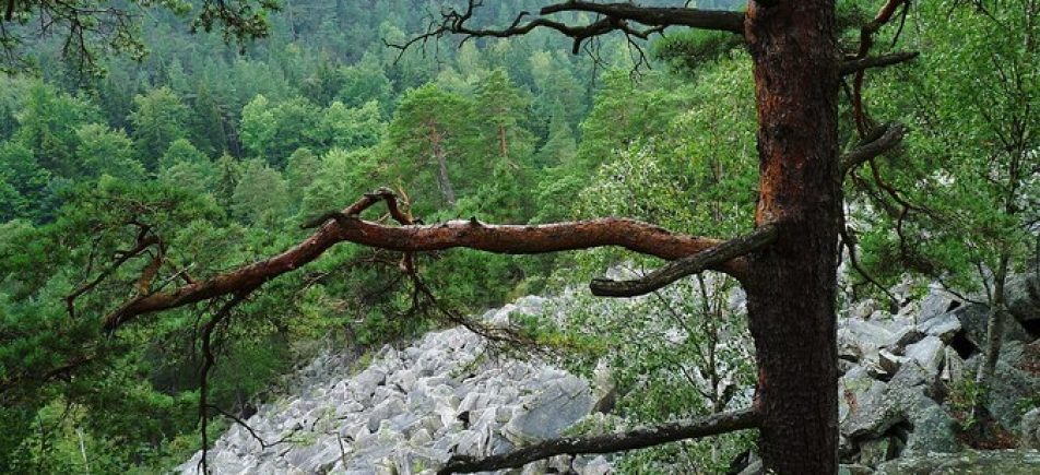 Čertova stěna–Luč: Rundwanderung durch das wilde Granitrevier