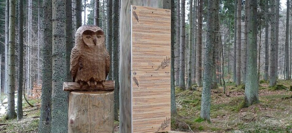 Puštíkova stezka in Stožec: Spielerisch den Böhmerwald entdecken