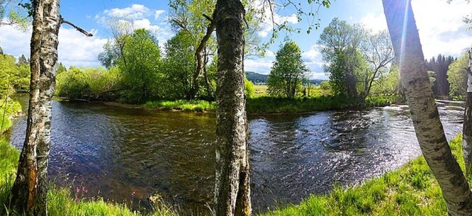 Vltavský luh: Auf Expedition durch die wilden Moldauauen