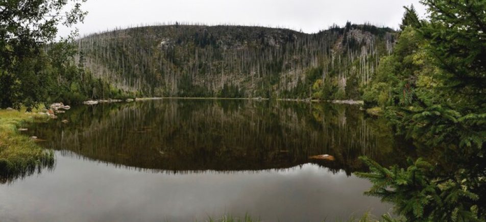 Plešné jezero: Zum wildesten Gletschersee des Böhmerwaldes