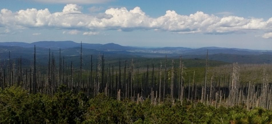 Plechý: Große Gipfeltour auf den höchsten Berg des Böhmerwaldes
