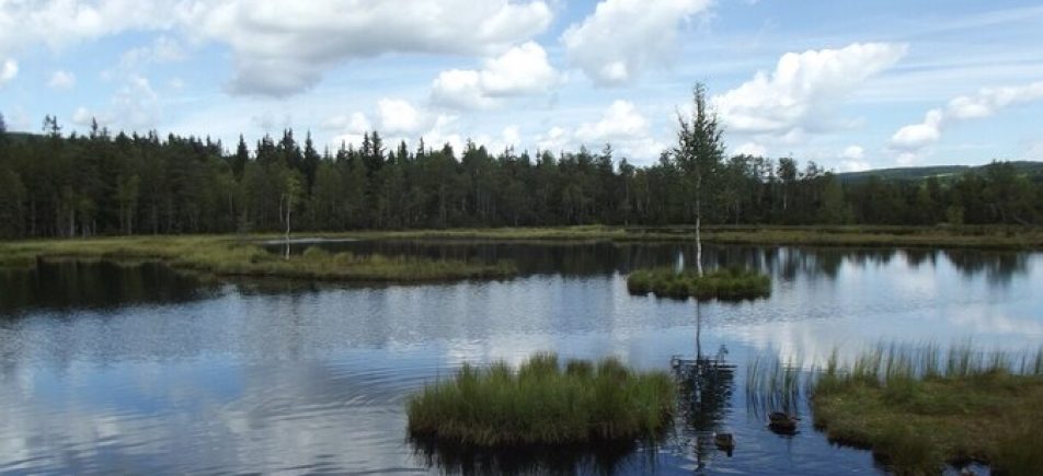 Chalupská slať: Moorsee und Bohlenweg im Böhmerwald