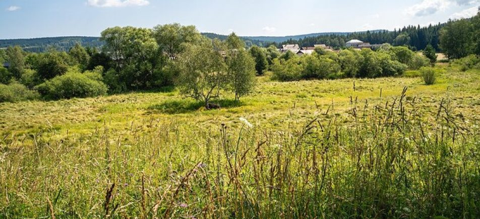 Borová Lada: Ruhiger Naturtag auf der Šumava-Hochebene