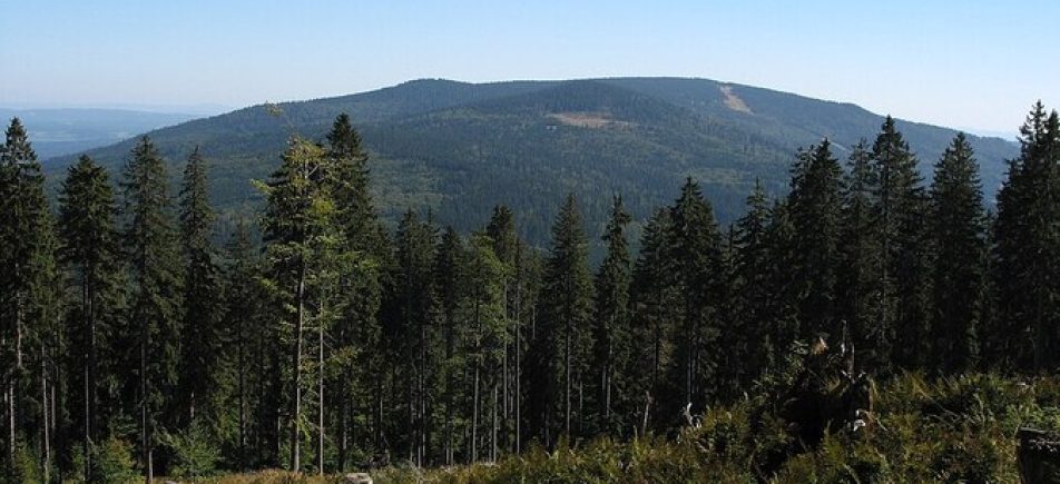 Hochficht im Sommer: Wandern zwischen Gipfeln und Granitfelsen