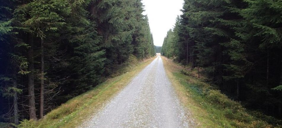 Adalbert-Stifter-Radweg: Familienradtour auf der alten Bahntrasse