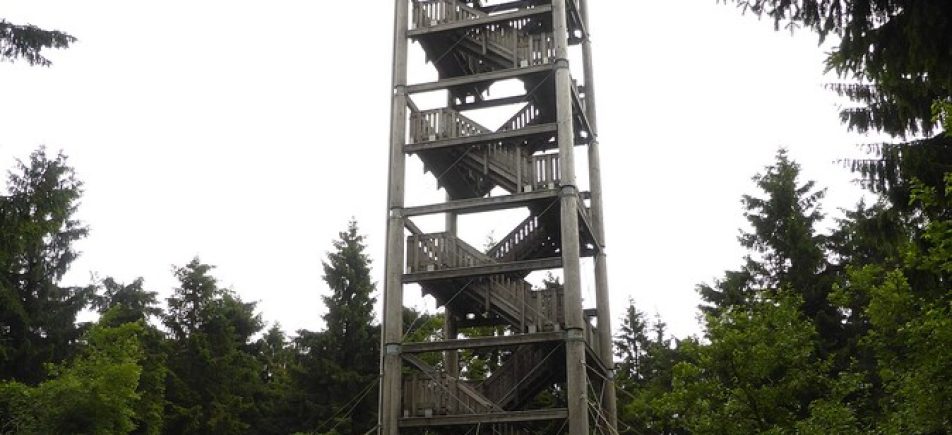 Haidel-Aussichtsturm: Waldwanderung mit Fernblick