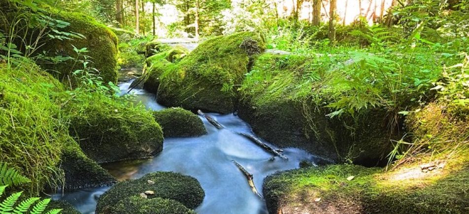 Saußbachklamm bei Waldkirchen: Wandern zwischen Wasser und Granit