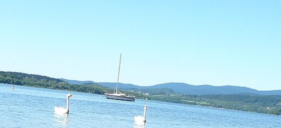Aussichten bei Bližná: kurzer Spaziergang über dem Lipno-See